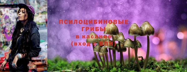 прущая мука Арсеньев