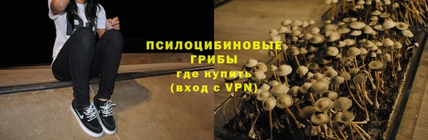 прущая мука Арсеньев